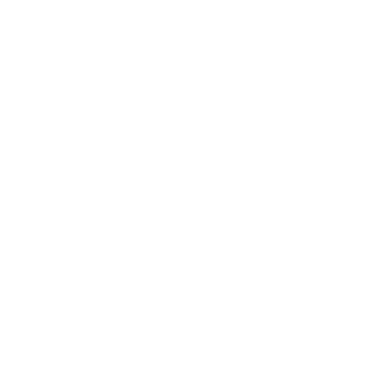 SICHERHEITSDIENST BIEL